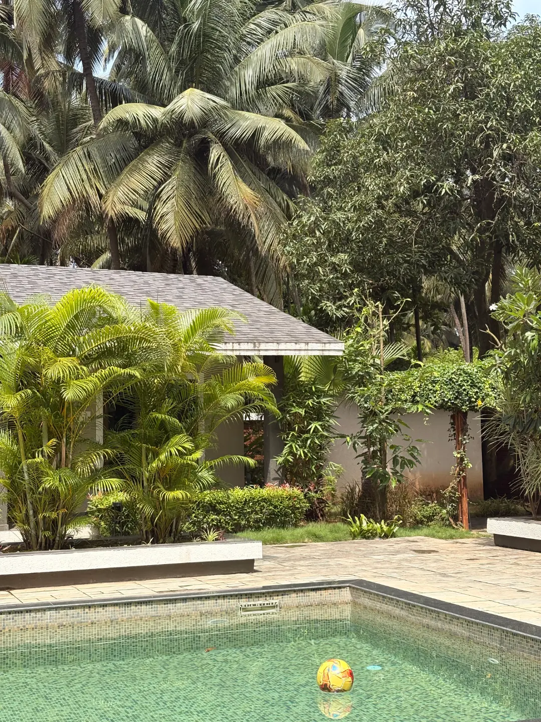 Cottage among palms and tropical greenery at The Coastal Heritage